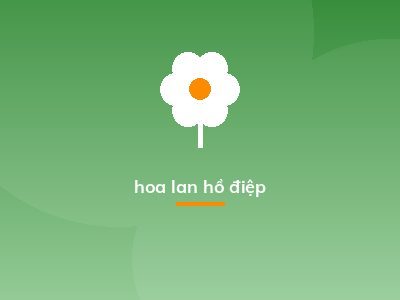 hoa lan hồ điệp