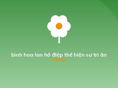 bình hoa lan hồ điệp thể hiện sự tri ân