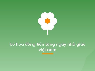 bó hoa đồng tiền tặng ngày nhà giáo việt nam