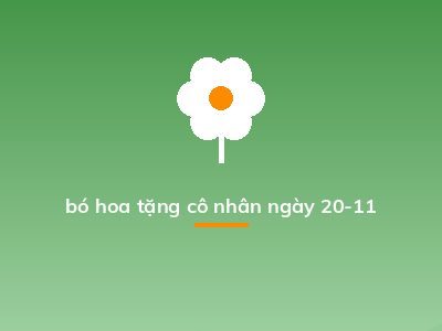 bó hoa tặng cô nhân ngày 20-11