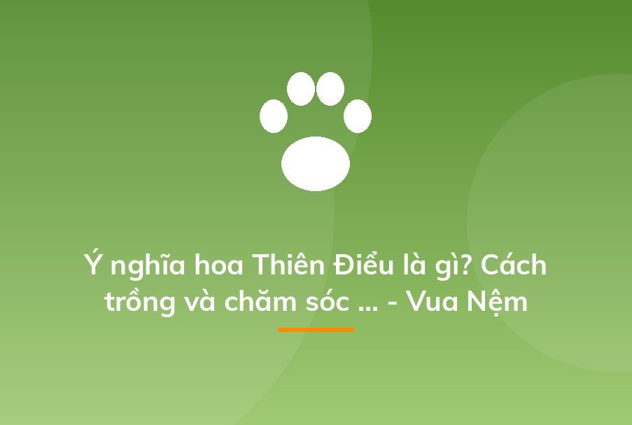 Ý nghĩa hoa Thiên Điểu là gì? Cách trồng và chăm sóc ... - Vua Nệm