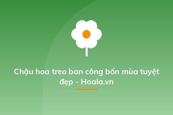 Chậu hoa treo ban công bốn mùa tuyệt đẹp - Hoala.vn