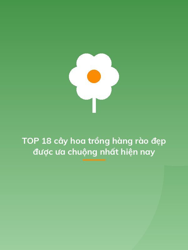 TOP 18 cây hoa trồng hàng rào đẹp được ưa chuộng nhất hiện nay