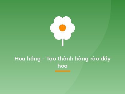 Hoa hồng - Tạo thành hàng rào đầy hoa