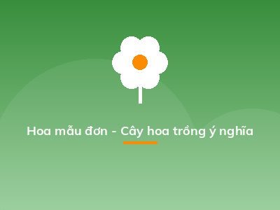 Hoa mẫu đơn - Cây hoa trồng ý nghĩa