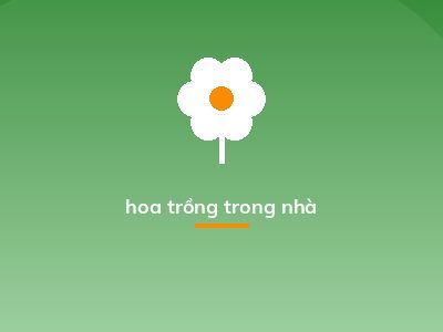 hoa trồng trong nhà
