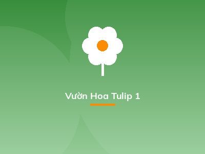 Vườn Hoa Tulip 1