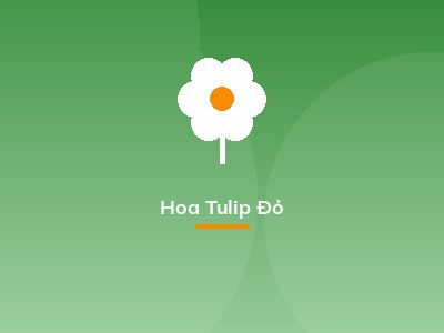 Hoa Tulip Đỏ