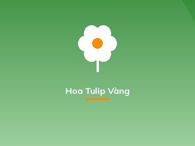 Hoa Tulip Vàng