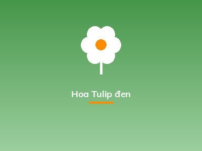 Hoa Tulip đen