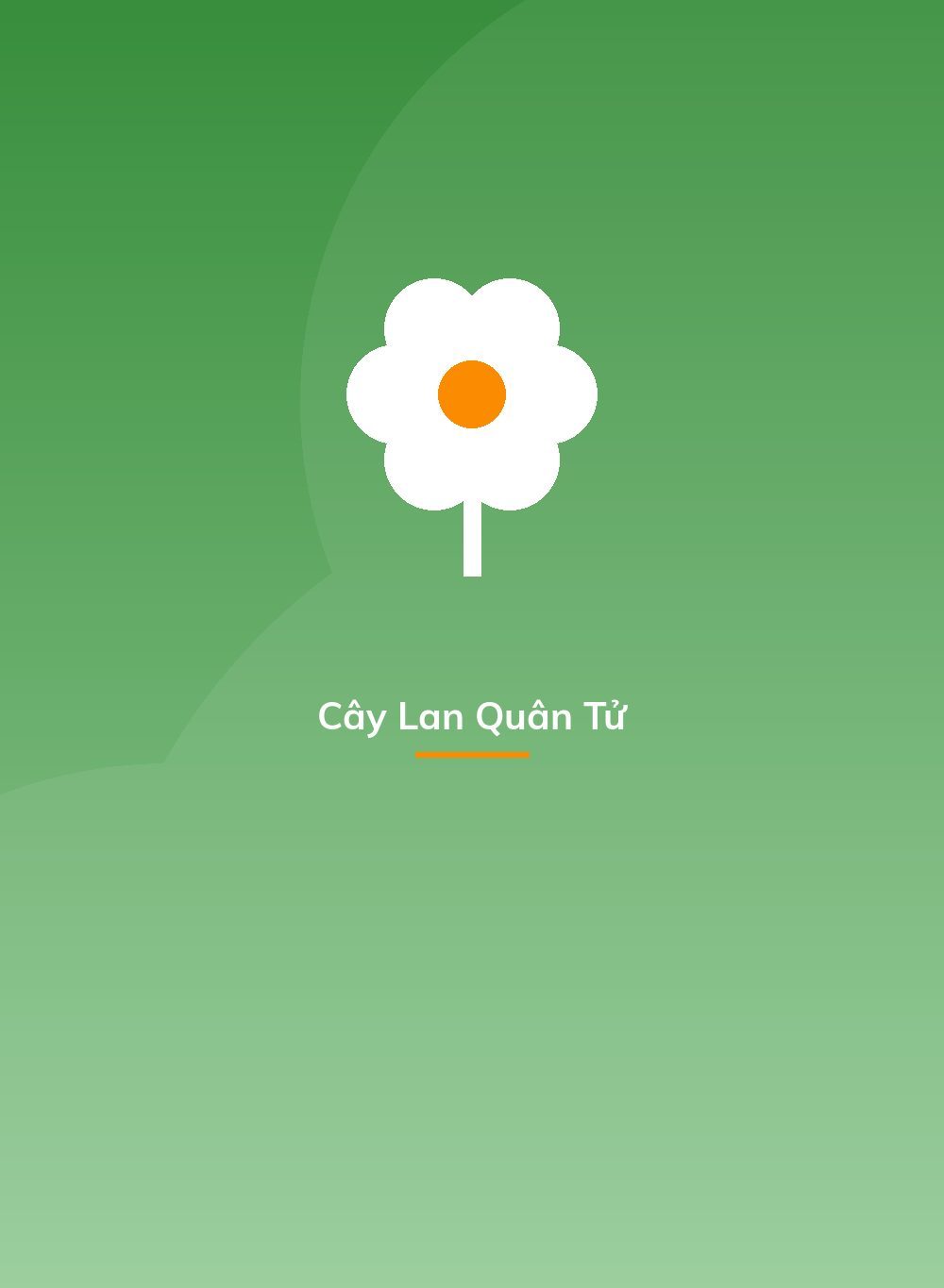 Cây Lan Quân Tử