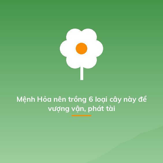 Mệnh Hỏa nên trồng 6 loại cây này để vượng vận, phát tài