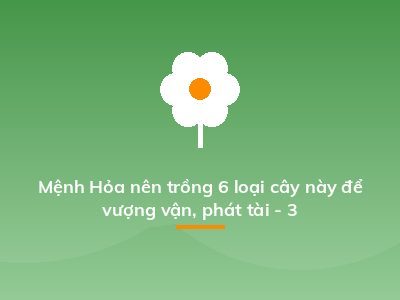 Mệnh Hỏa nên trồng 6 loại cây này để vượng vận, phát tài - 3