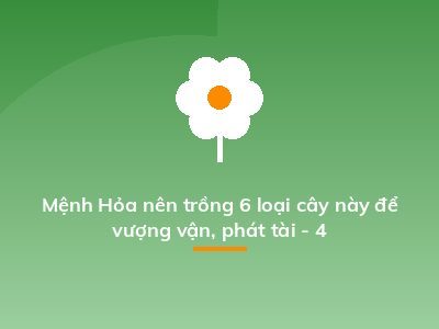 Mệnh Hỏa nên trồng 6 loại cây này để vượng vận, phát tài - 4
