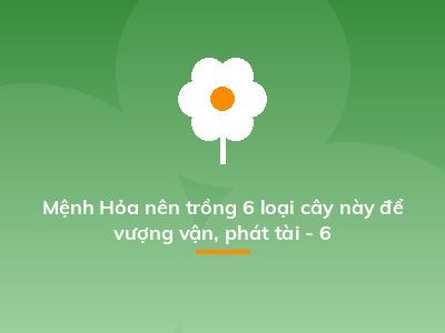 Mệnh Hỏa nên trồng 6 loại cây này để vượng vận, phát tài - 6