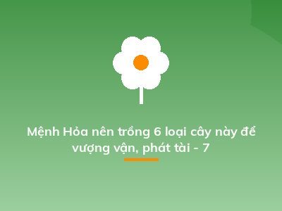 Mệnh Hỏa nên trồng 6 loại cây này để vượng vận, phát tài - 7