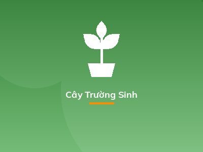Cây Trường Sinh