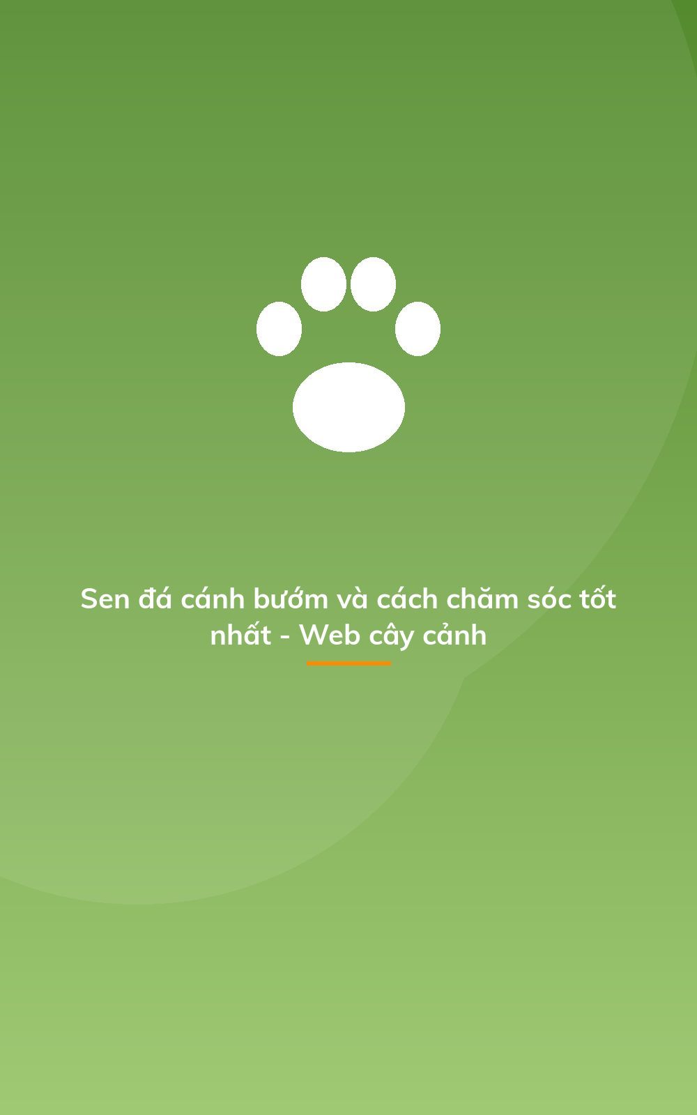 Sen đá cánh bướm và cách chăm sóc tốt nhất - Web cây cảnh