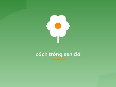 cách trồng sen đá