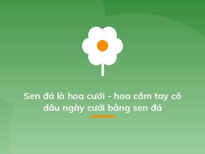 Sen đá là hoa cưới - hoa cầm tay cô dâu ngày cưới bằng sen đá