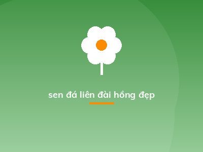 sen đá liên đài hồng đẹp