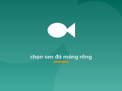 chọn sen đá móng rồng