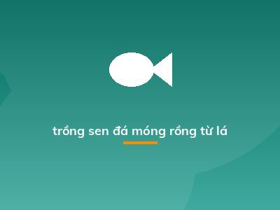 trồng sen đá móng rồng từ lá