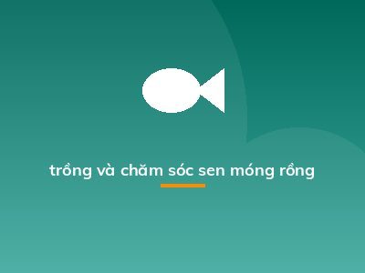 trồng và chăm sóc sen móng rồng
