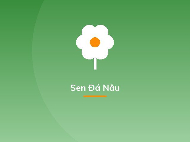 Sen Đá Nâu