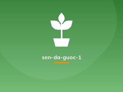 sen-da-guoc-1