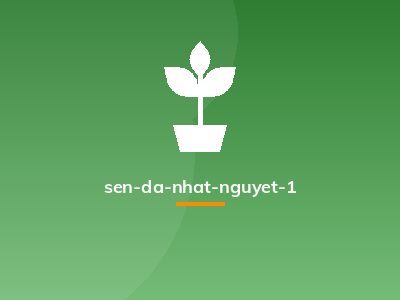 sen-da-nhat-nguyet-1