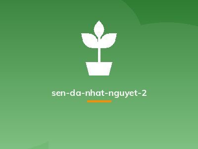 sen-da-nhat-nguyet-2