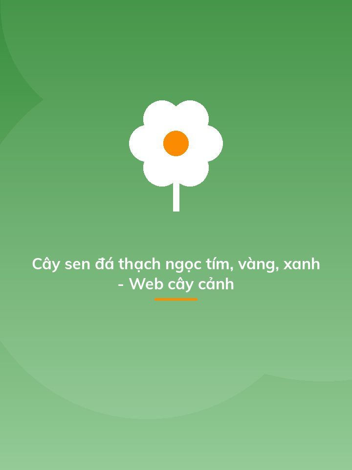 Cây sen đá thạch ngọc tím, vàng, xanh - Web cây cảnh