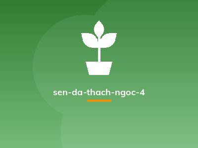 sen-da-thach-ngoc-4