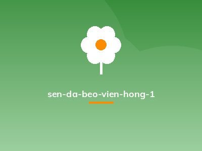 sen-da-beo-vien-hong-1