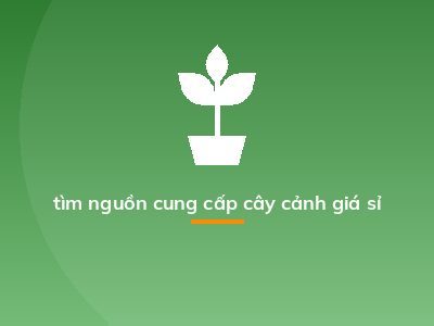 tìm nguồn cung cấp cây cảnh giá sỉ