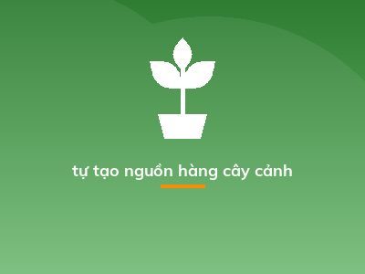 tự tạo nguồn hàng cây cảnh