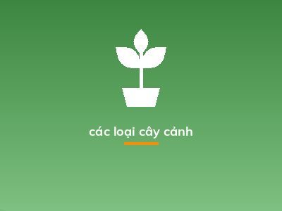 các loại cây cảnh