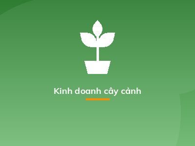 Kinh doanh cây cảnh