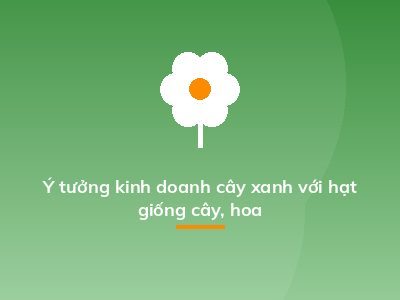 Ý tưởng kinh doanh cây xanh với hạt giống cây, hoa