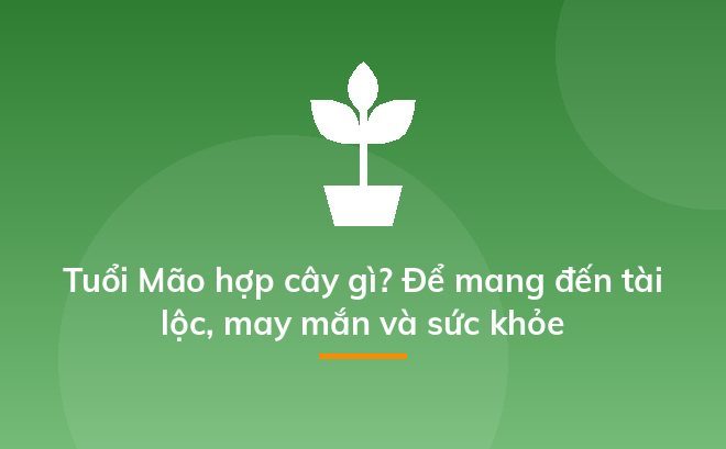 Tuổi Mão hợp cây gì? Để mang đến tài lộc, may mắn và sức khỏe