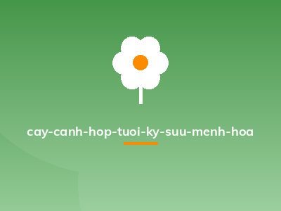 cay-canh-hop-tuoi-ky-suu-menh-hoa