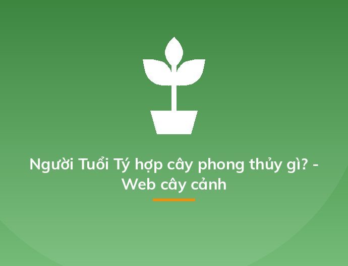 Người Tuổi Tý hợp cây phong thủy gì? - Web cây cảnh