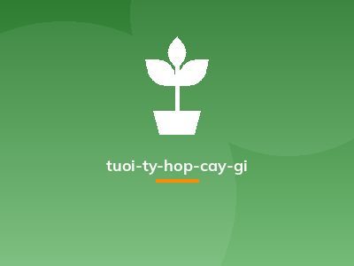 tuoi-ty-hop-cay-gi