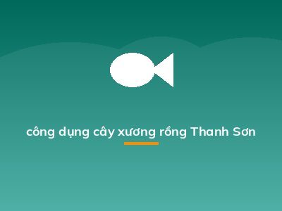công dụng cây xương rồng Thanh Sơn