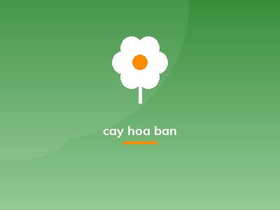 cay hoa ban