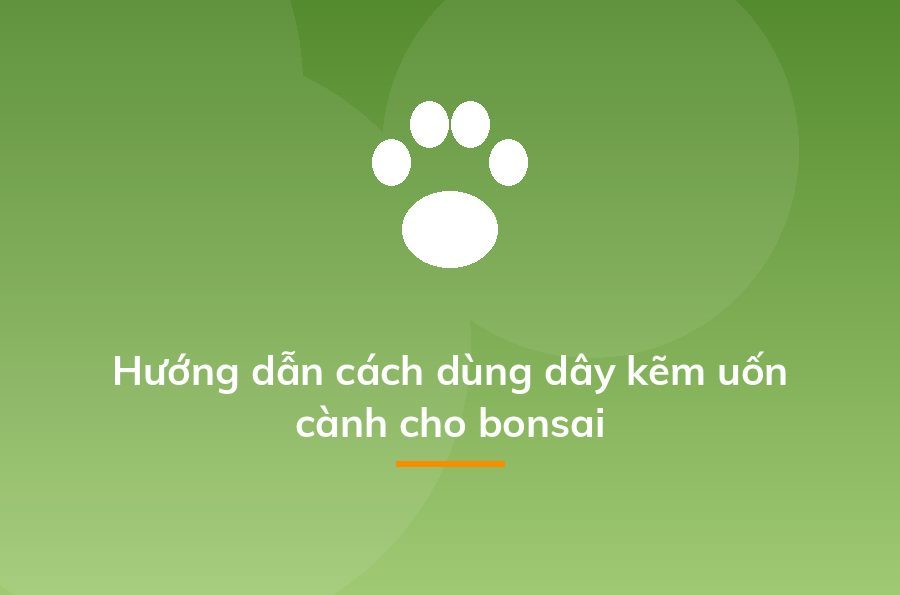 Hướng dẫn cách dùng dây kẽm uốn cành cho bonsai