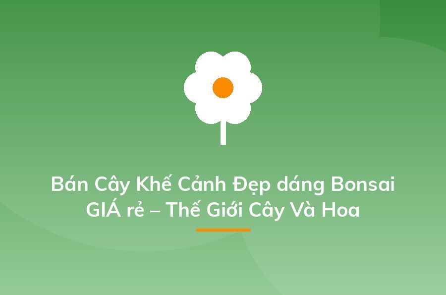 Kinh doanh cây cảnh - cách kiếm "một vốn bốn lời" nhanh nhất - Sapo