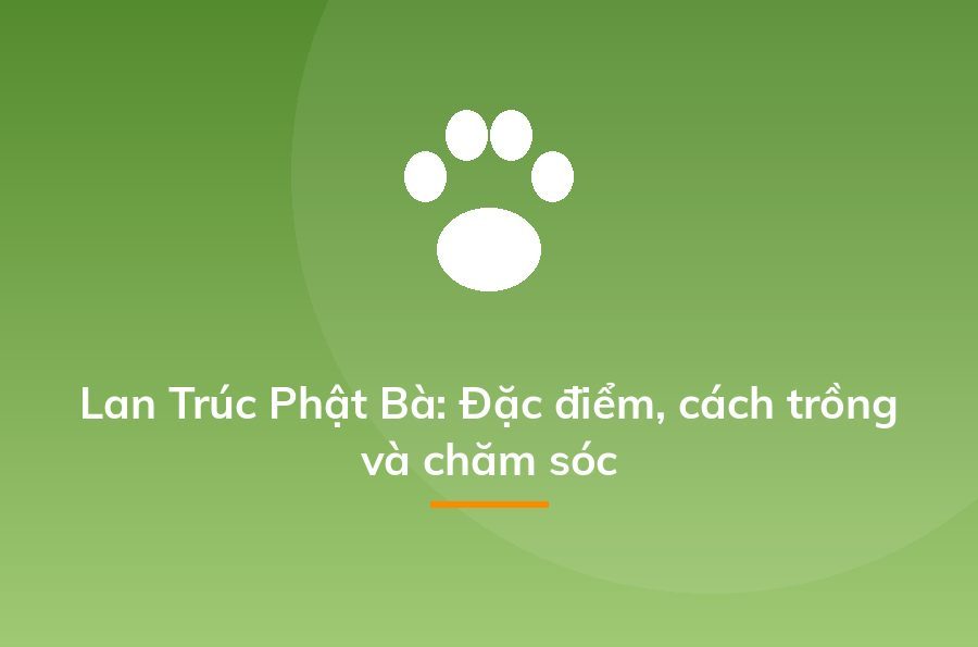 Kinh doanh cây cảnh - cách kiếm "một vốn bốn lời" nhanh nhất - Sapo