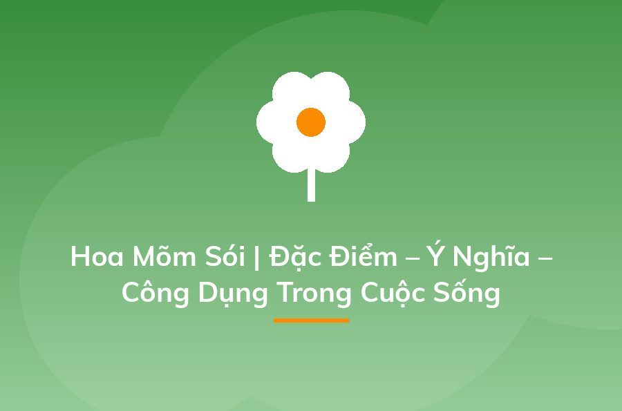 Kinh doanh cây cảnh - cách kiếm "một vốn bốn lời" nhanh nhất - Sapo